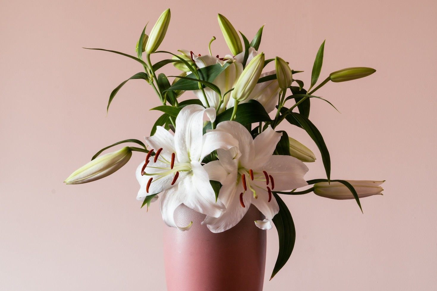 Floral Arrangement Tips for DIY Enthusiasts